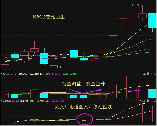 股票红绿代表什么，股票红色是涨还是跌（第一次有人把“MACD”运用得出神入化）