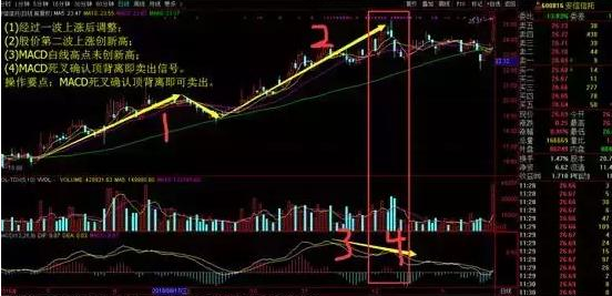 股票红绿代表什么，股票红色是涨还是跌（第一次有人把“MACD”运用得出神入化）