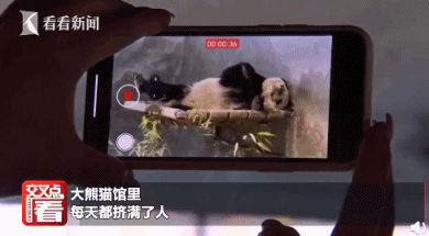 泪眼婆娑怎么读音，婆娑怎么读（荐读丨中国“顶流”回国）