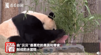 泪眼婆娑怎么读音，婆娑怎么读（荐读丨中国“顶流”回国）