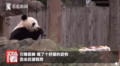 泪眼婆娑怎么读音，婆娑怎么读（荐读丨中国“顶流”回国）