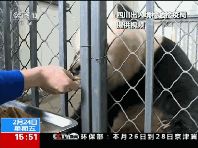 泪眼婆娑怎么读音，婆娑怎么读（荐读丨中国“顶流”回国）