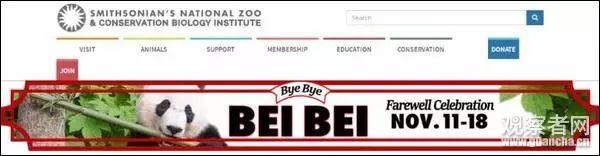 泪眼婆娑怎么读音，婆娑怎么读（荐读丨中国“顶流”回国）