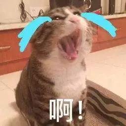 泪眼婆娑怎么读音，婆娑怎么读（荐读丨中国“顶流”回国）