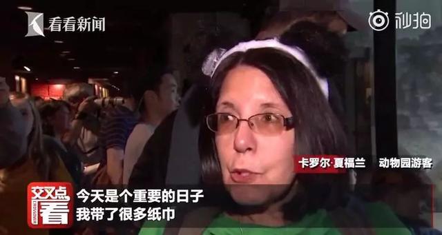 泪眼婆娑怎么读音，婆娑怎么读（荐读丨中国“顶流”回国）