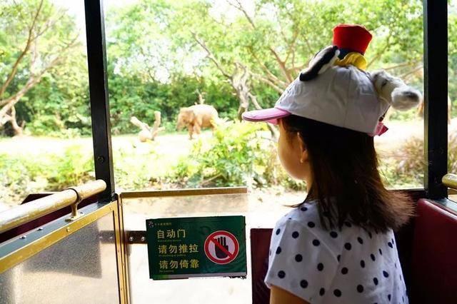 广州最大的动物园在哪里，广州最近的动物园在哪里（广州长隆动物世界+飞鸟乐园重点攻略）