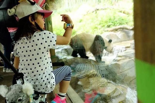 广州最大的动物园在哪里，广州最近的动物园在哪里（广州长隆动物世界+飞鸟乐园重点攻略）