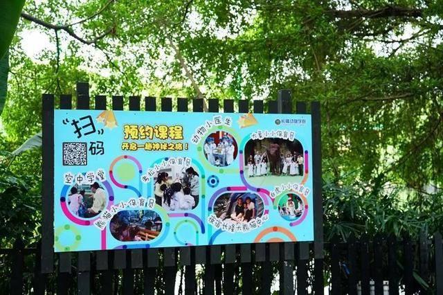 广州最大的动物园在哪里，广州最近的动物园在哪里（广州长隆动物世界+飞鸟乐园重点攻略）