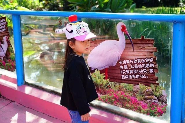 广州最大的动物园在哪里，广州最近的动物园在哪里（广州长隆动物世界+飞鸟乐园重点攻略）
