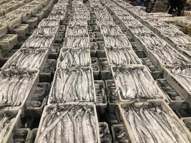 三门青蟹怎么保存，三门青蟹怎么保存温度（三门小海鲜越“冻”越鲜美）