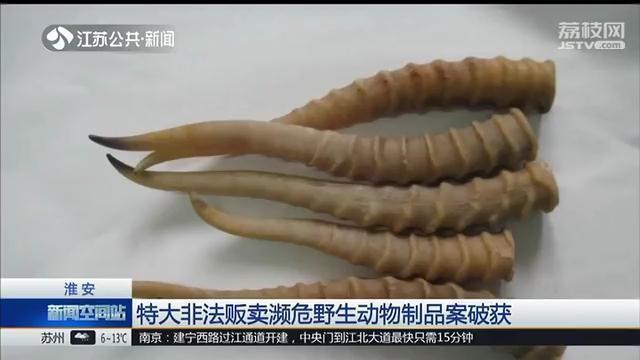 羚羊角图片大全价格，羚羊角图片（23人团伙贩卖羊角）