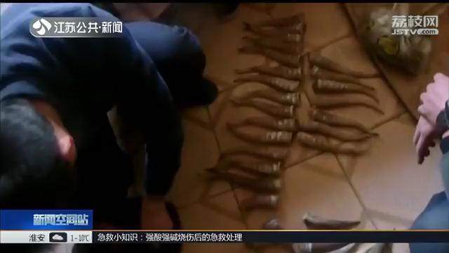 羚羊角图片大全价格，羚羊角图片（23人团伙贩卖羊角）