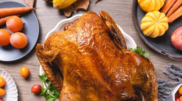 感恩节跟火鸡有什么关系，物种日志丨火鸡在感恩节有多重要