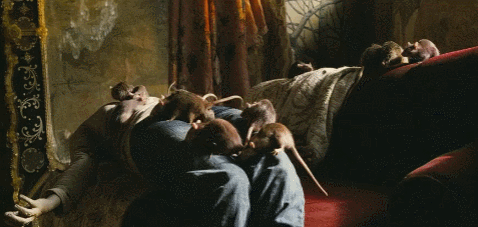 张静初老公是谁，36岁张静初“高富帅”男友曝光！（“专业睡导演20年”的“狠人”张静初）