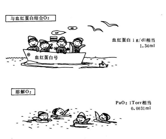 氧什么意思解释，氧字笔画笔顺（氧分压、血氧饱和度与低氧血症）