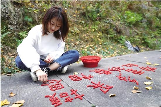 红豆果的功效与作用，稽东红豆林：山道秋意深