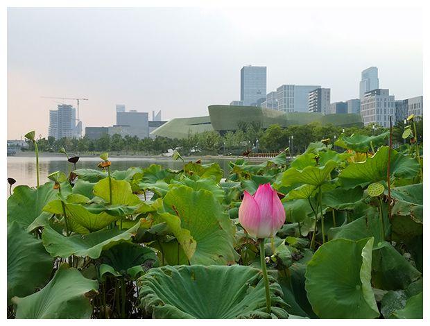 宁波老三区是哪三区，宁波老三区范围（原来你是这样的宁波）