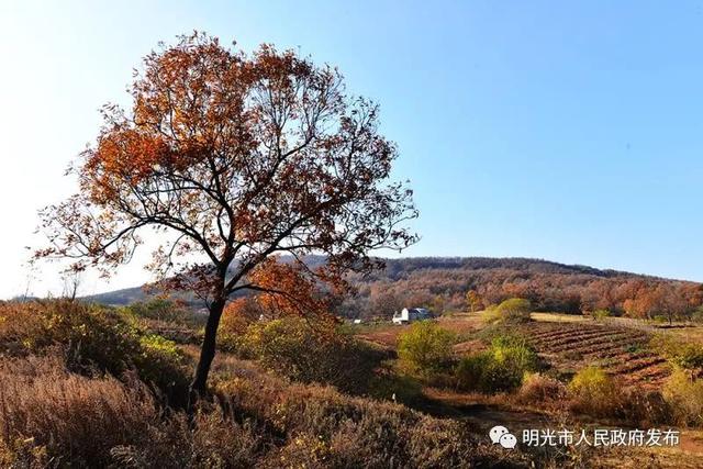 夜袭尼姑庵夜袭妓男院网名，夜袭尼姑庵夜袭妓男院微信昵称（这里有一所你不了解的大横山......）