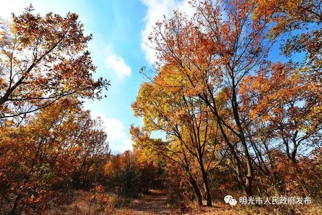 夜袭尼姑庵夜袭妓男院网名，夜袭尼姑庵夜袭妓男院微信昵称（这里有一所你不了解的大横山......）