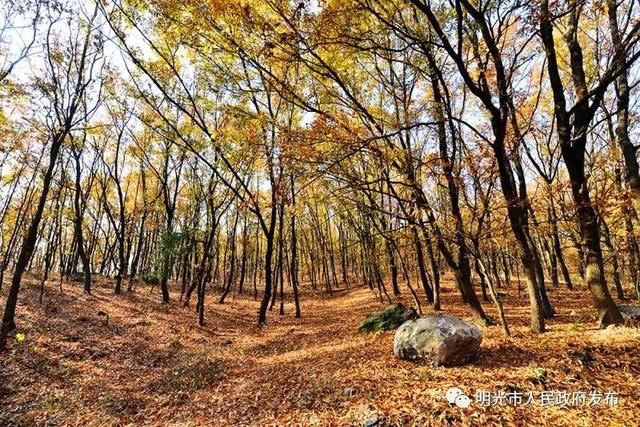 夜袭尼姑庵夜袭妓男院网名，夜袭尼姑庵夜袭妓男院微信昵称（这里有一所你不了解的大横山......）