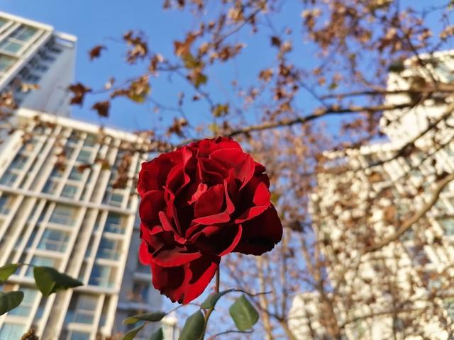 华为畅享10s，华为畅享10s是快充吗（适合年轻人的千元新标杆）