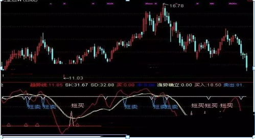 sd股票是什么意思，股票sd是什么意思（因为他们连“开盘就冲3和5）