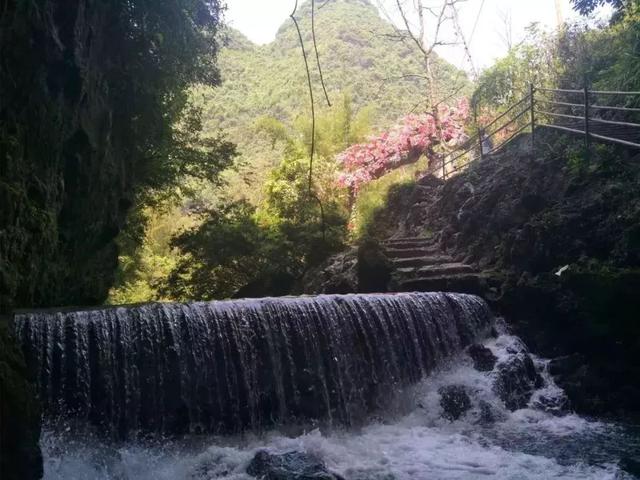 宜州附近旅游景点一日游，生态绿色、风景优美……这个冬天宜州让你玩得尽兴