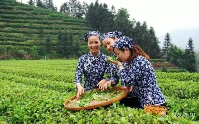 宜州附近旅游景点一日游，生态绿色、风景优美……这个冬天宜州让你玩得尽兴