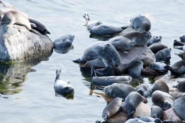 贝加尔湖地图位置图，贝加尔湖地理位置（西伯利亚明珠——贝加尔湖）