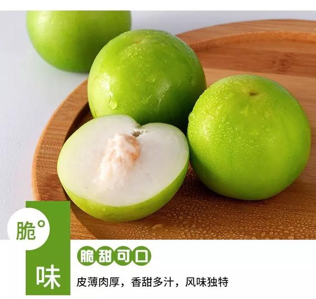 牛奶大青枣的功效，甜蜜如冰糖的牛奶枣来了