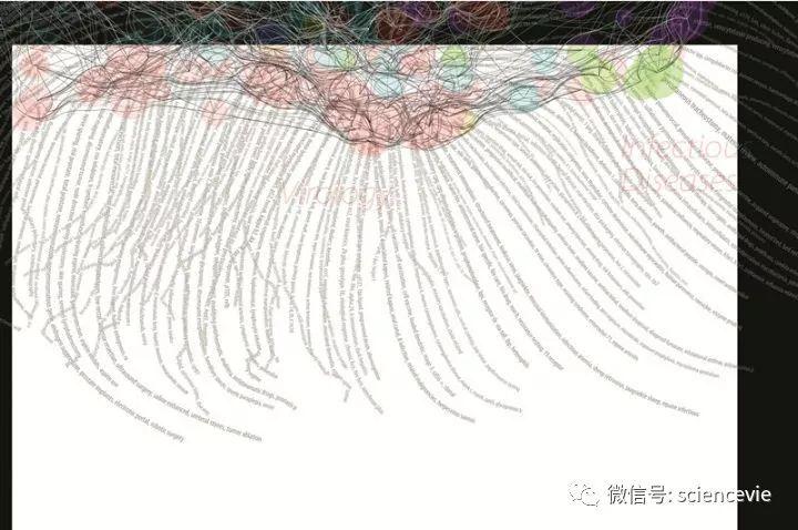 菲柯特（科学发现背后所隐藏的知识网络）