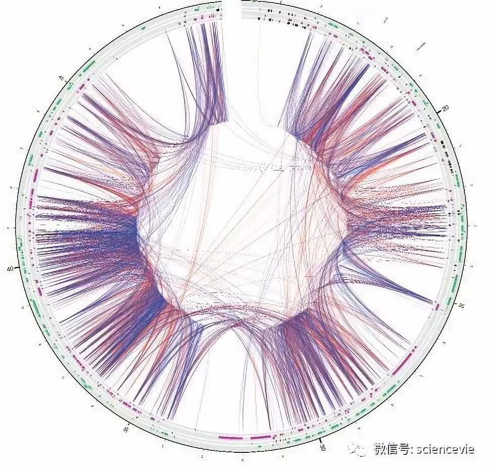 菲柯特（科学发现背后所隐藏的知识网络）