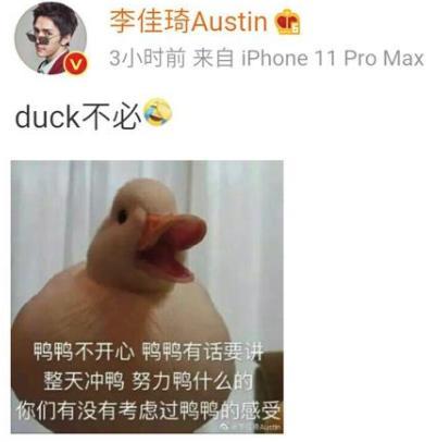duck是什么意思，duck不必是什么梗（duck不必什么意思什么梗）