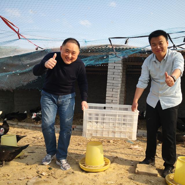 非洲雁怎么做好吃，如今帮白穴口村村民找到增收途径