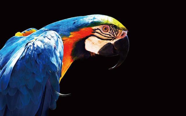 epson打印机驱动官网，爱普生打印机官网驱动下载（能否让“家庭影院”重生）