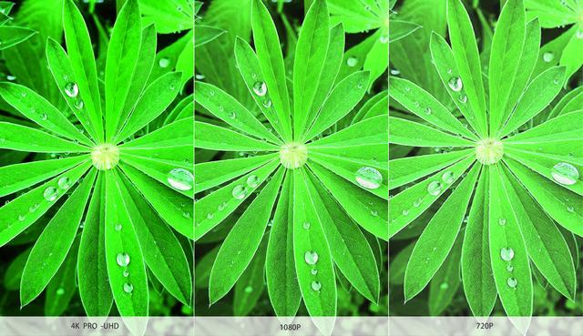 epson打印机驱动官网，爱普生打印机官网驱动下载（能否让“家庭影院”重生）