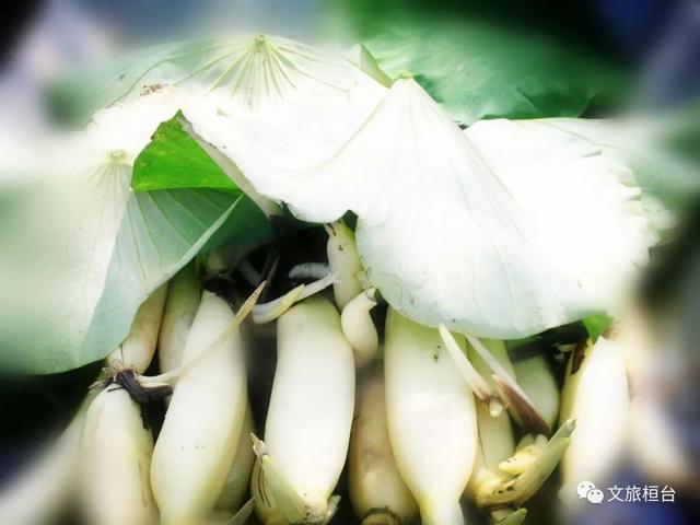 淄博的特产有哪些，山东淄博特产有哪些可以携带（淄博这些土特产你都知道吗）