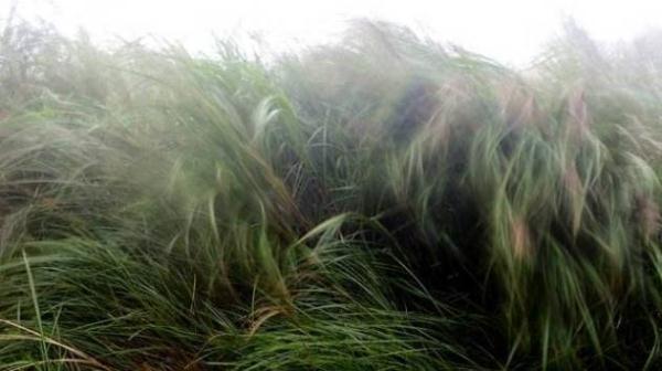 关于雪的谚语10个，关于雪的谚语都有哪些（气象谚语，快快存下）