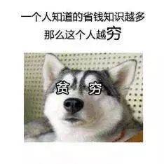 济南双庆家电维修售后 济南人“集五福”正确姿势！瓜分万元现金，看完省下一个月工资