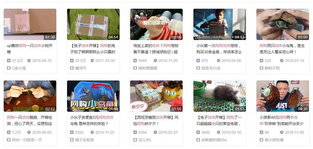 宠物快递怎么寄顺丰多少钱，顺丰活体宠物快递费用是多少（遇到这些“便宜”要当心了）