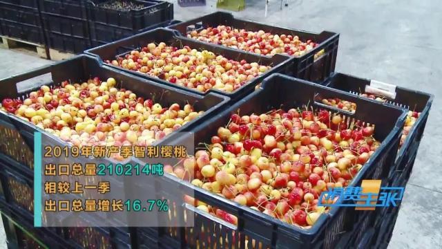 车厘子3j和4j什么意思，认清这几个“J”，全都知道了