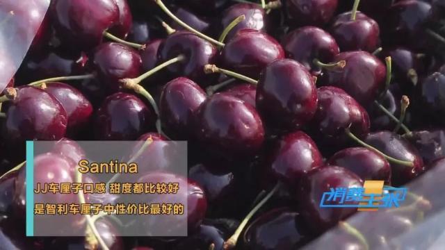 车厘子3j和4j什么意思，认清这几个“J”，全都知道了
