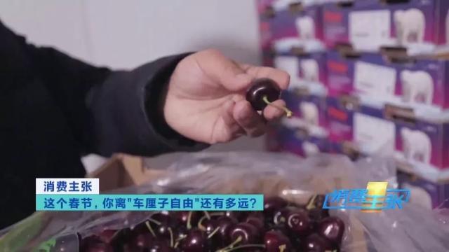 车厘子3j和4j什么意思，认清这几个“J”，全都知道了