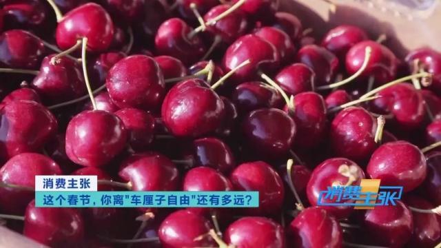车厘子3j和4j什么意思，认清这几个“J”，全都知道了