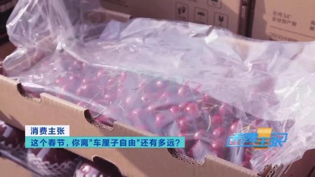 车厘子3j和4j什么意思，认清这几个“J”，全都知道了