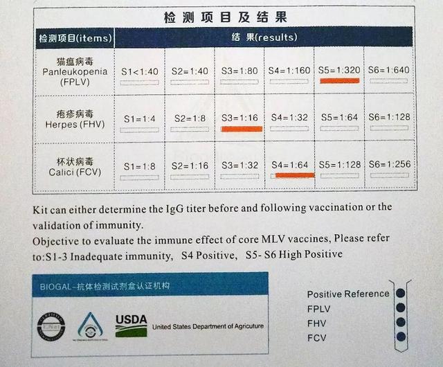 猫咪打第一针疫苗要准备什么，关于猫咪打疫苗的那些事儿