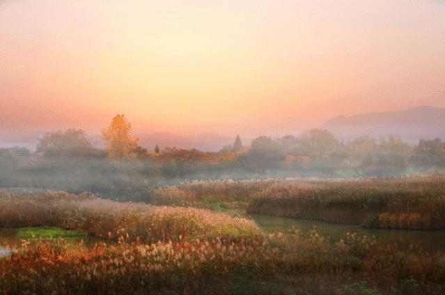 西溪欢乐城，西溪漫步旗舰店（西溪湿地造福杭州城）