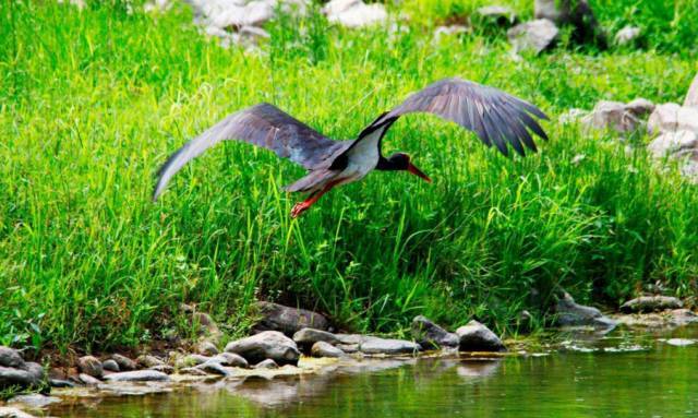 陉怎么读，隋怎么读音组词（一读就错的26个河北地名）