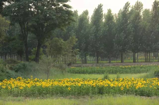 陉怎么读，隋怎么读音组词（一读就错的26个河北地名）