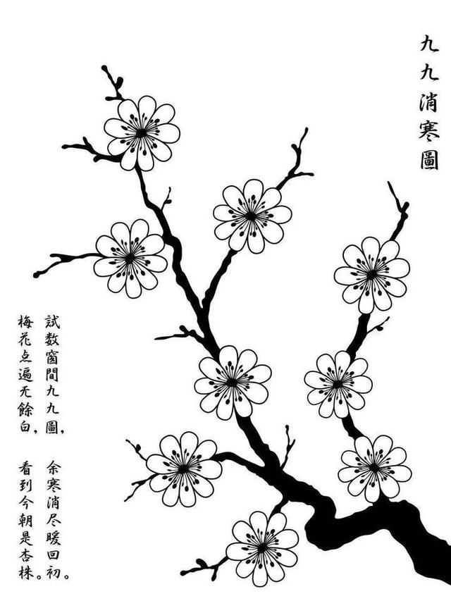 吃饺子的来历，包饺子的来历和风俗（冬至丨今天为什么要吃饺子）